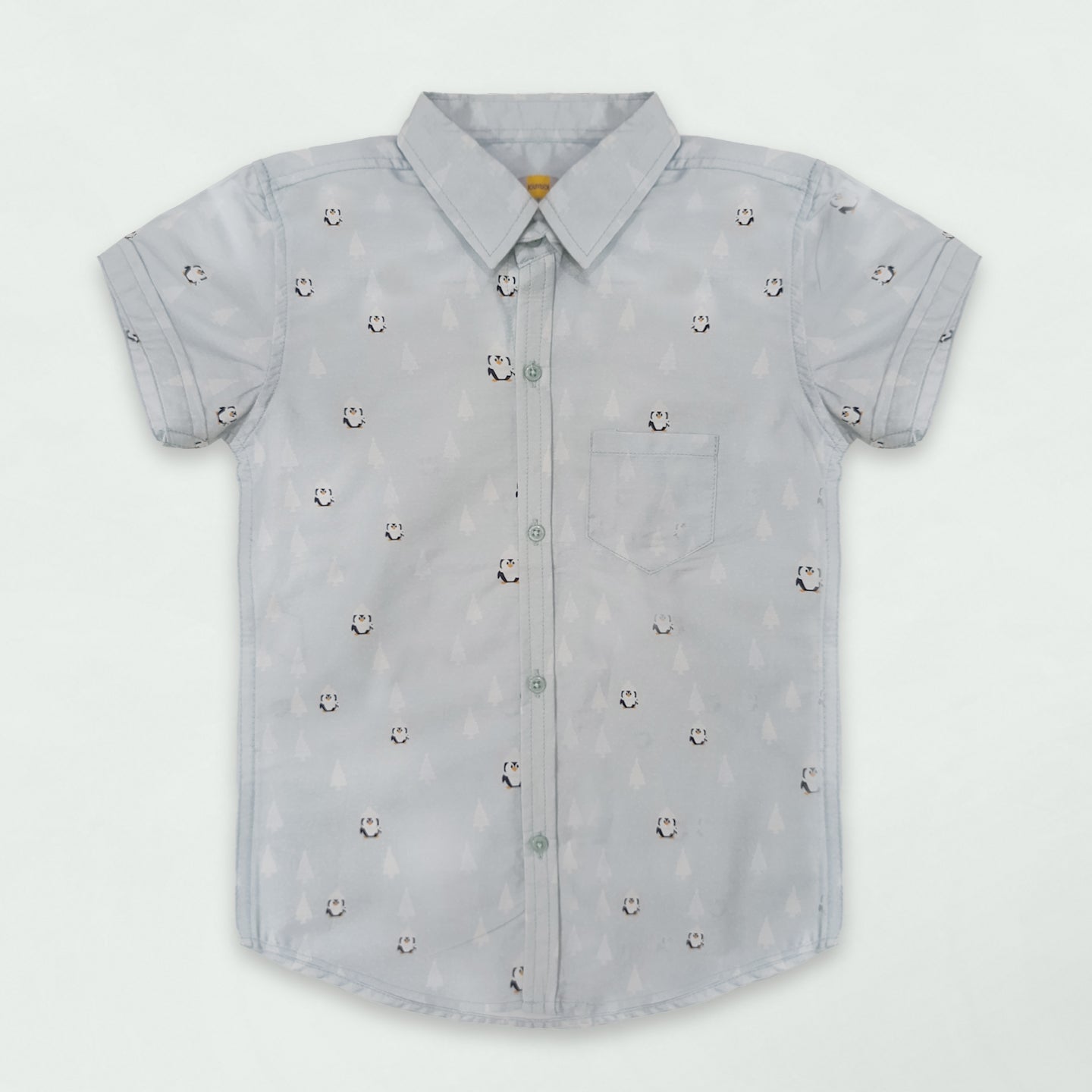 Boys Casual Shirt